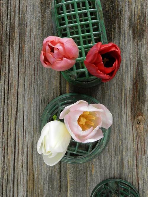 VALENTINE`S DAY PACK- RED, PINKS & WHITE  SEASONAL TULIPS